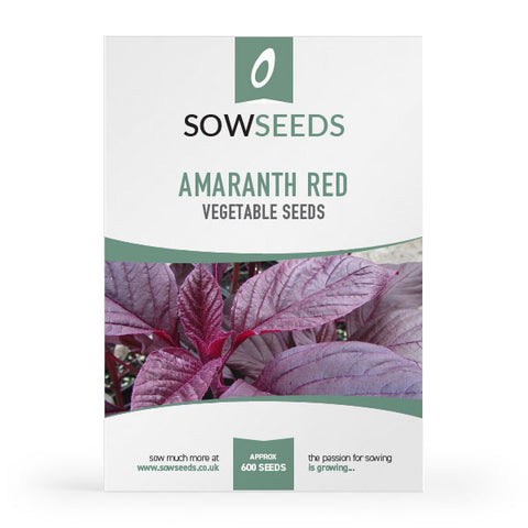 September Vegetable Seeds