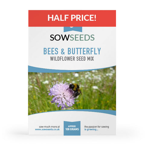 bee and butterfly pollinators wildflower meadow seed mix 