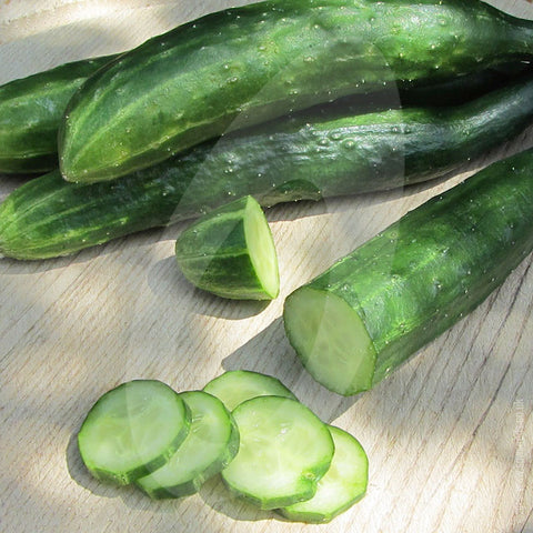 Cucumber Seeds