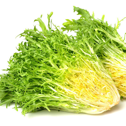 Endive
