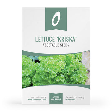 Lettuce Kriska Seeds