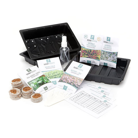 microgreen beginner starter seed growing kit 