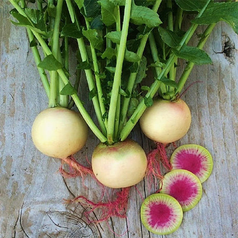 radish watermelon vegetable seeds