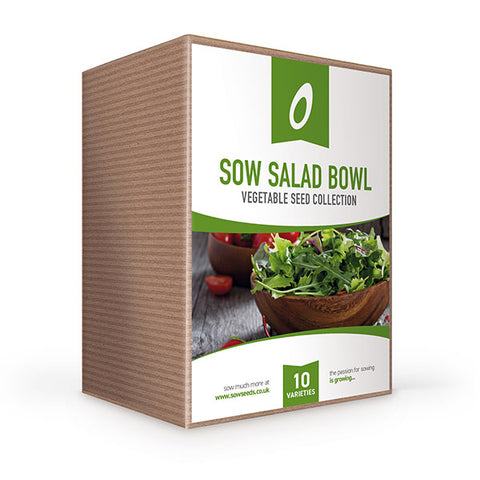sow salad bowl seed collection box 