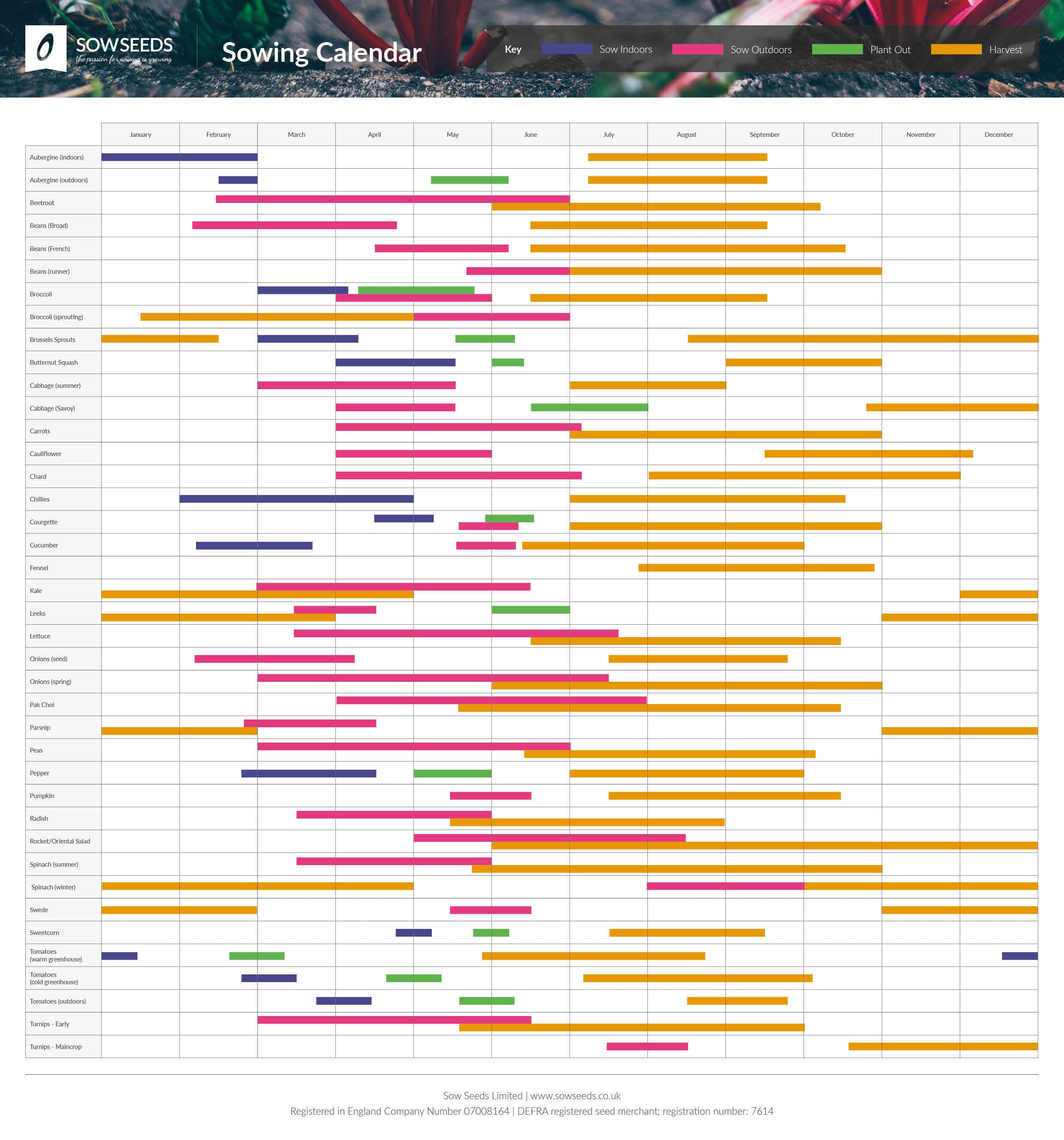 sow seeds planting calendar
