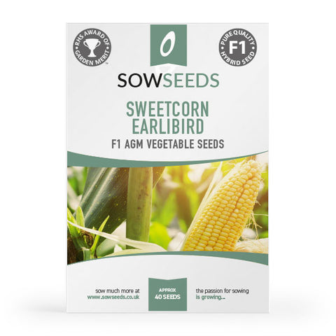 sweetcorn earlibird f1 agm vegetable seeds 