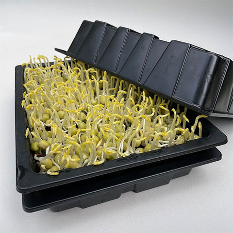 microgreen seed growing kit