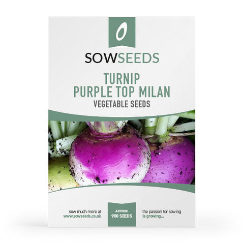 turnip purple top milan heritage vegetable seeds 